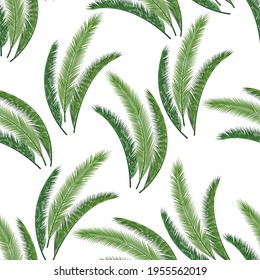 Kokospalmenblätter Muster, Dschungelbaum zweigt nahtlosen Hintergrund. Exotische Pflanzen für Bekleidung Textilien, Gewebe, Packpapier. Hellgrüne Zweige einzeln auf Weiß. Sommergrafisches Design.