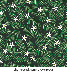 Coconut palm leaves and white flower frame background for decoration on summer beach events.