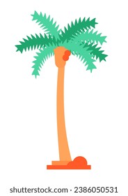 Coconut palm - modern flat design style single isolated image. Neat detailed illustration of tropical tree with fruits. Nature and plants, exotic leafs, jungle, tourism and recreation, summer idea