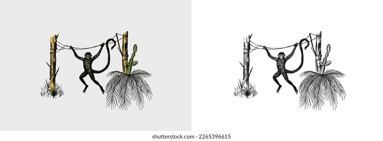 Kokospalme. Affe springt auf Äste. Tropische Bäume exotische Pflanzen. Phoenix- oder Date-Sorten. Östliche Landschaft. Exotische Natur. Linearer Dschungel. Handgezeichnete Skizze im Vintage-Stil.