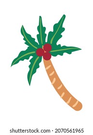 Coconut palm for paradise beach isolated on white. Vector coconut tropical palm, leaf summer exotic tree design illustration