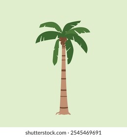 coconut palm plant, houseplant illustration for panorama in flat style