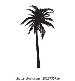 coconut palm silhouette, palm tree illustration, vector summer sign on a white background