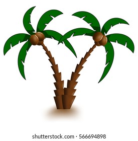 Coconut and palm tree