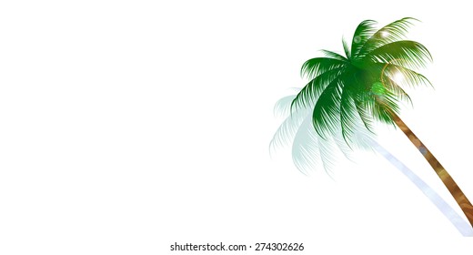 Coconut palm tree background