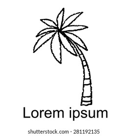 Coconut palm tree black lines, hand drawn sketch icon isolated on white background, art logo design