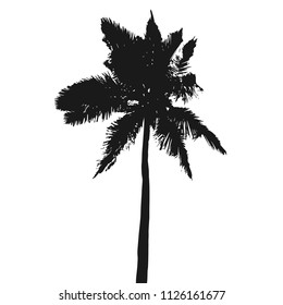 Coconut palm tree black silhouette isolated on a white background. Vector illustration
