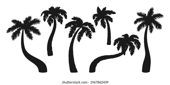 Coconut palm tree black silhouette cartoon set. Tropical line palm trees design element. Hand drawn tree with leaves, mature and young plants of tropical forest. Isolated on white vector illustration