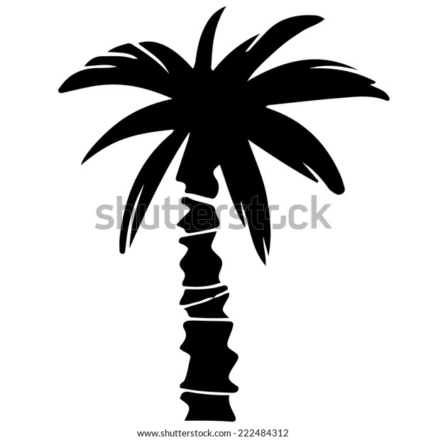 Coconut Palm Tree Black Silhouette Isolated Stock Vector Royalty