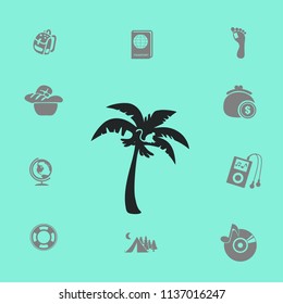 Coconut palm tree black vector illustration