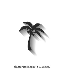 Coconut palm tree black vector illustration