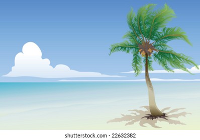 Coconut palm tree and the blue sea