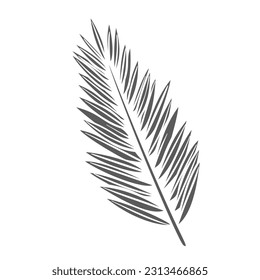 Coconut palm tree branch with leaves glyph icon vector illustration. Silhouette of palm leaf and stem, stamp of tropical jungle, exotic garden or beach plant and natural floral decoration for spa