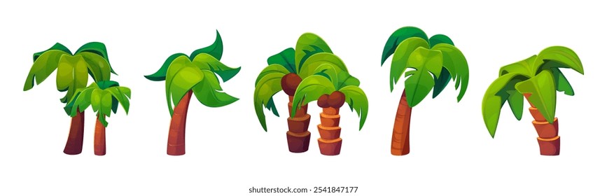 Conjunto de ilustración de dibujos animados de juego de palmera de coco. Planta tropical de verano con hoja verde y coco en rama. Naturaleza tropical de la selva para el medio ambiente de Hawái o California. Follaje hawaiano Clipart forestal