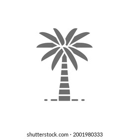 Icono gris de la palmera de coco. Aislado sobre fondo blanco