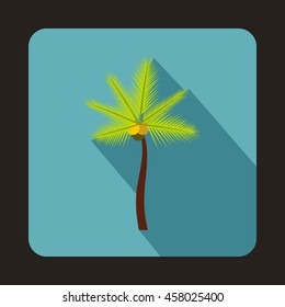 Coconut palm tree icon in flat style on a baby blue background