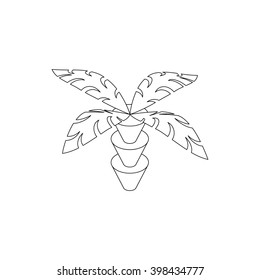 Coconut palm tree icon, isometric 3d style