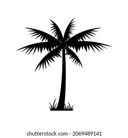 Coconut Palm Tree Icon Vector Template