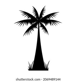 Coconut Palm Tree Icon Vector Template