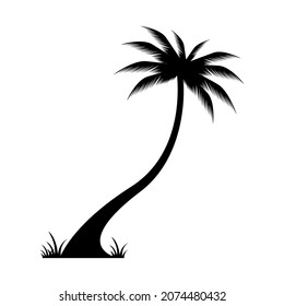 Coconut Palm Tree Icon Vector Template