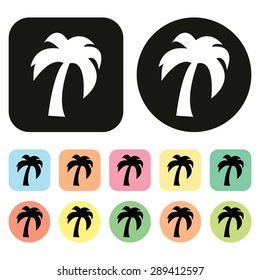 Coconut palm tree icon. Coconut icon. Vector