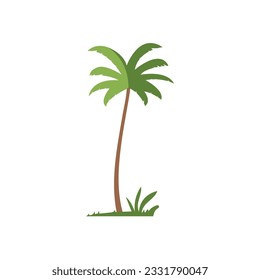 Coconut palm tree illustration, foliage vector image