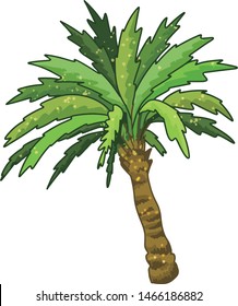 Coconut Palm Tree illustration vector
