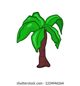 Coconut palm tree isolated illustration on white background