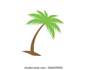 Kokosnuss-Palme einzeln auf weißem Hintergrund
