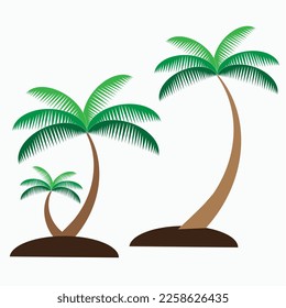 coconut palm tree isolated on white background