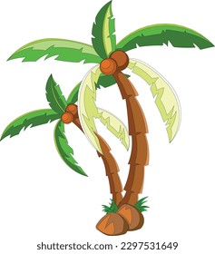 Árbol De Palma De Coco Aislado En Fondo Blanco