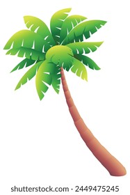 Coconut palm tree isolated on white background graphic vector