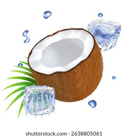 Coconut with palm tree leaf vector illustration. Sweet exotic fruits cocktail with ice cubes, Cold summer alcohol drink Tropical nuts