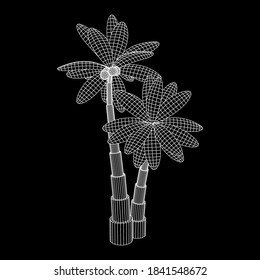 Coconut palm tree with leaves. Wireframe low poly mesh vector illustration.