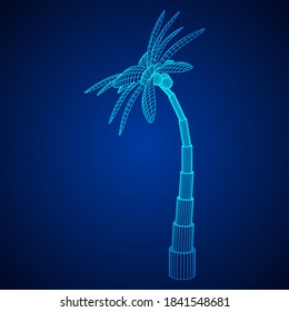 Coconut palm tree with leaves. Wireframe low poly mesh vector illustration.