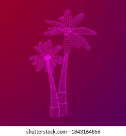 Coconut palm tree with leaves. Wireframe low poly mesh vector illustration.