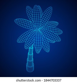 Coconut palm tree with leaves. Wireframe low poly mesh vector illustration.