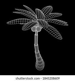 Coconut palm tree with leaves. Wireframe low poly mesh vector illustration.