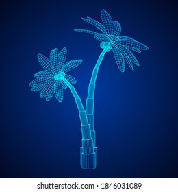 Coconut palm tree with leaves. Wireframe low poly mesh vector illustration.