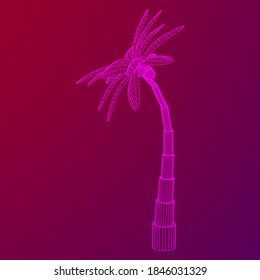 Coconut palm tree with leaves. Wireframe low poly mesh vector illustration.