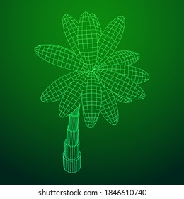 Palmera de coco con hojas. Ilustración vectorial de malla baja de malla de malla de alambre.