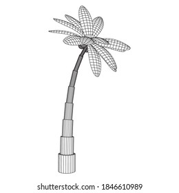 Palmera de coco con hojas. Ilustración vectorial de malla baja de malla de malla de alambre.