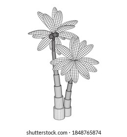 Palmera de coco con hojas. Ilustración vectorial de malla baja de malla de malla de alambre.