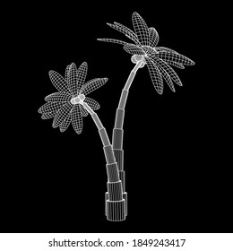 Kokospalmen mit Blättern. Wireframe Low-Poly-Mesh, Vektorgrafik.