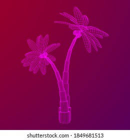 Coconut palm tree with leaves. Wireframe low poly mesh vector illustration.