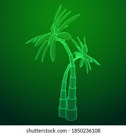 Coconut palm tree with leaves. Wireframe low poly mesh vector illustration.