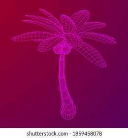 Palmera de coco con hojas. Ilustración vectorial de malla baja de malla de malla de alambre.