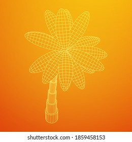 Coconut palm tree with leaves. Wireframe low poly mesh vector illustration.