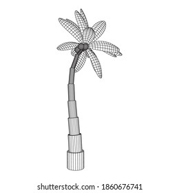 Coconut palm tree with leaves. Wireframe low poly mesh vector illustration.