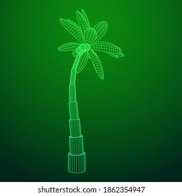 Kokospalmen mit Blättern. Wireframe Low-Poly-Mesh, Vektorgrafik.